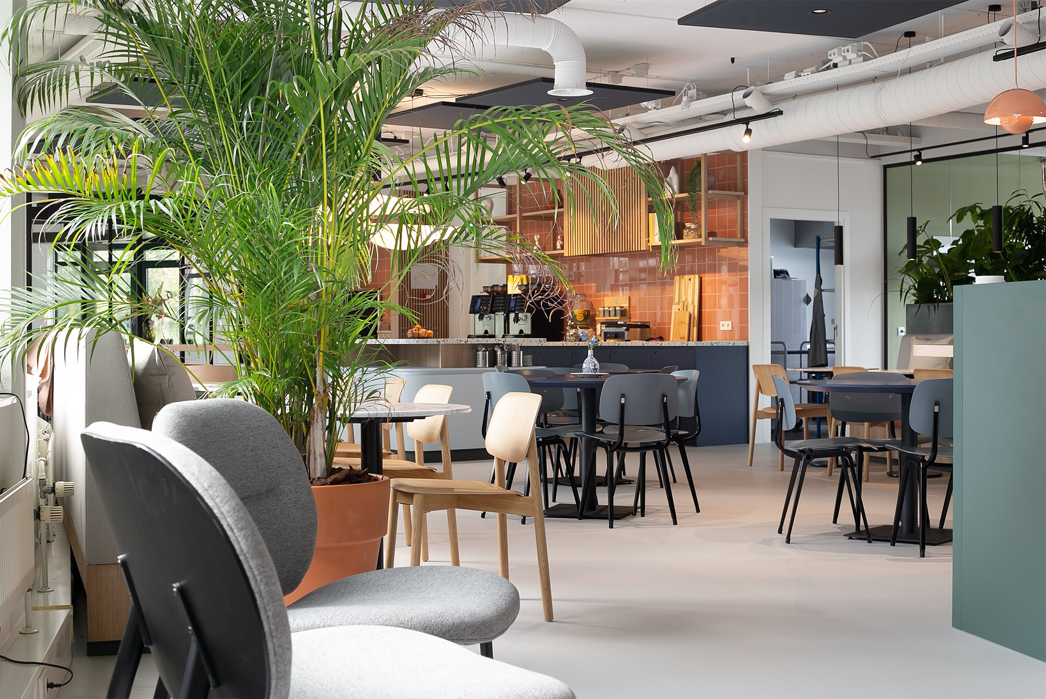 New Day Offices Zwolle photo 6