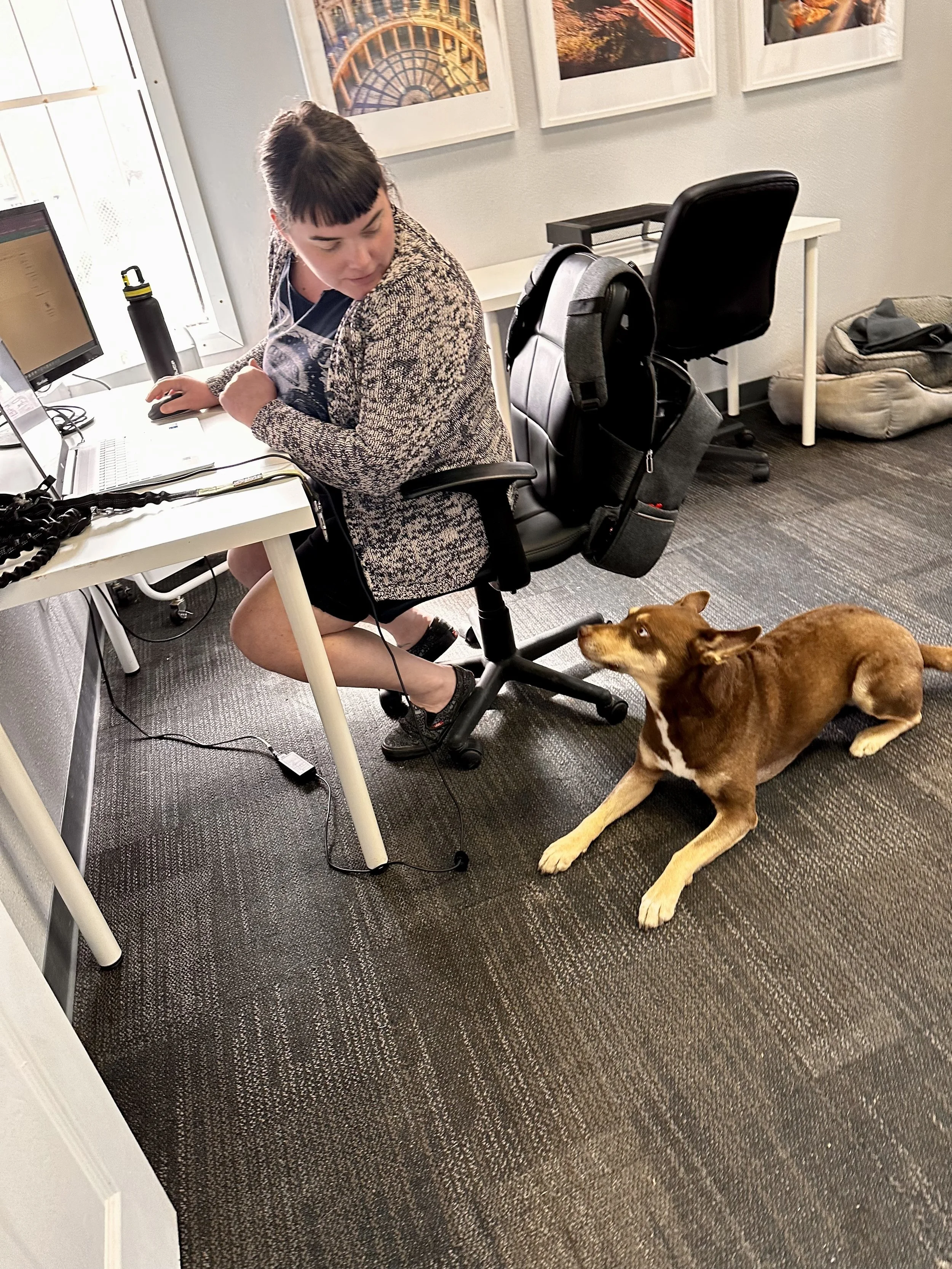 Work and Woof photo 2