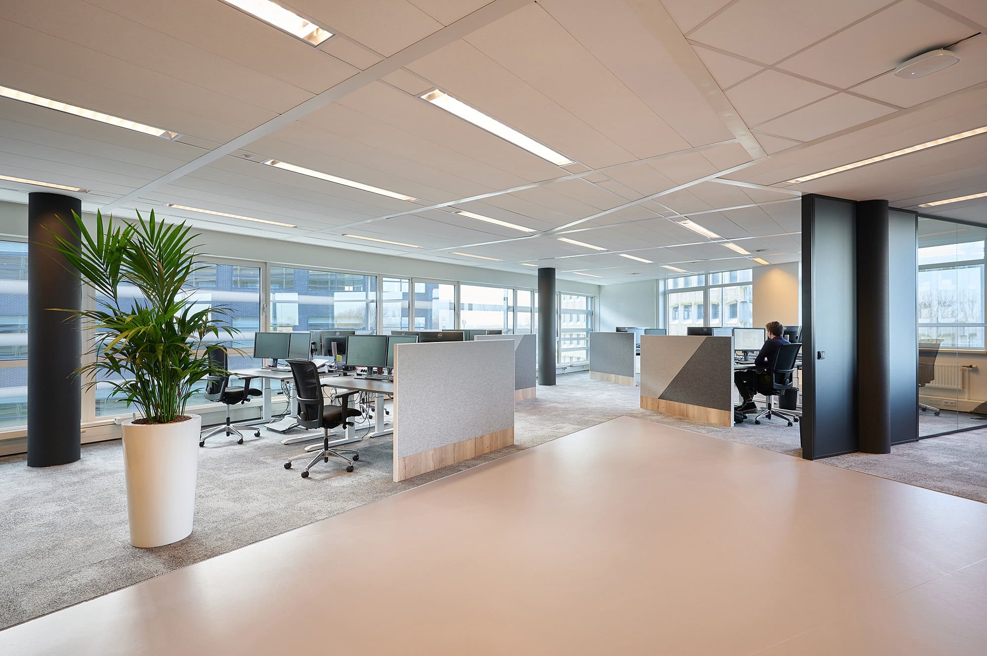 New Day Offices Arnhem photo 2