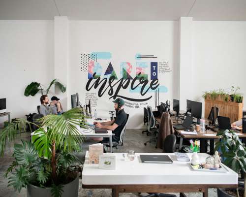 The Workshop Ponsonby photo 6