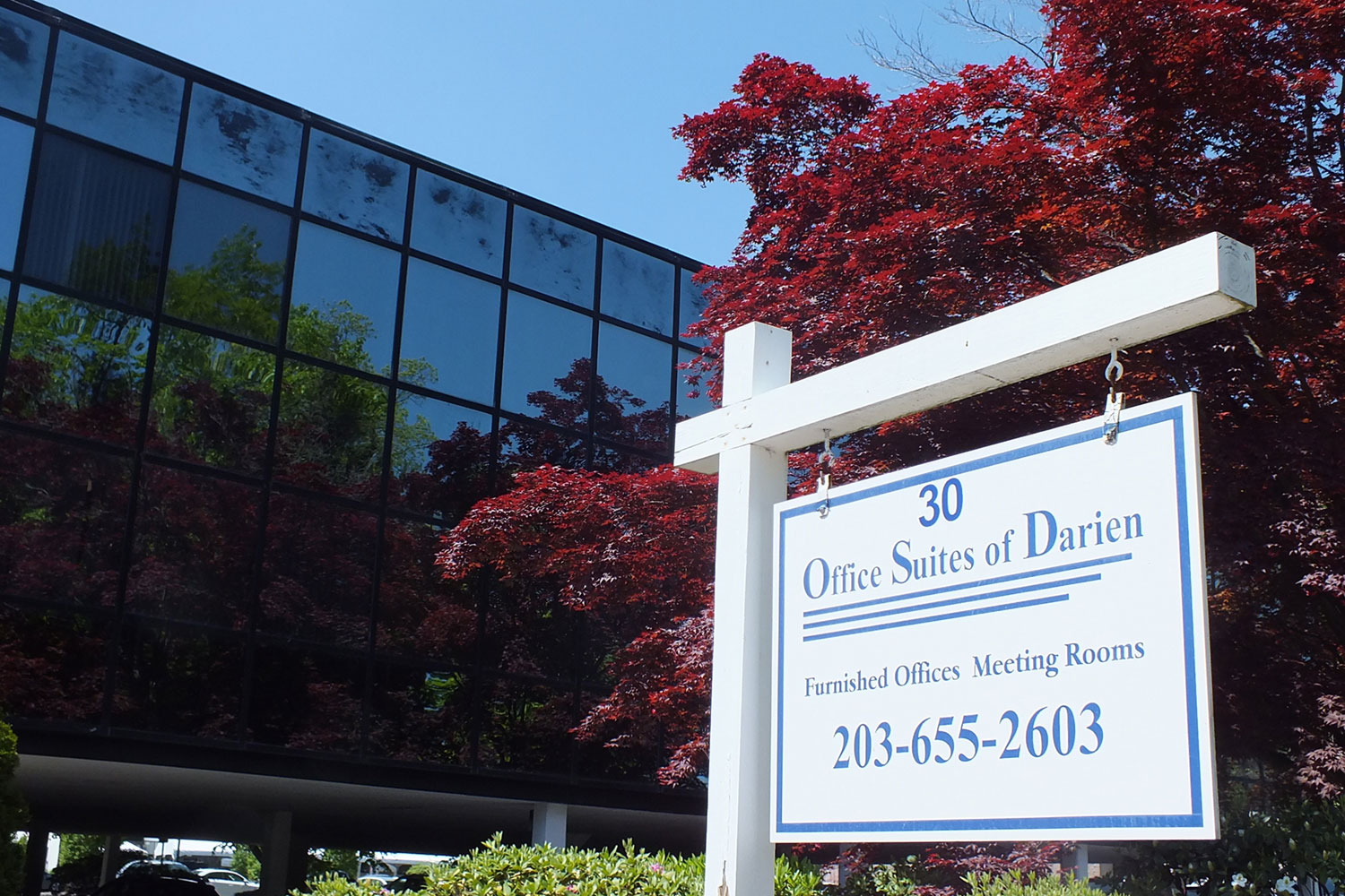 Office Suites of Darien photo 3